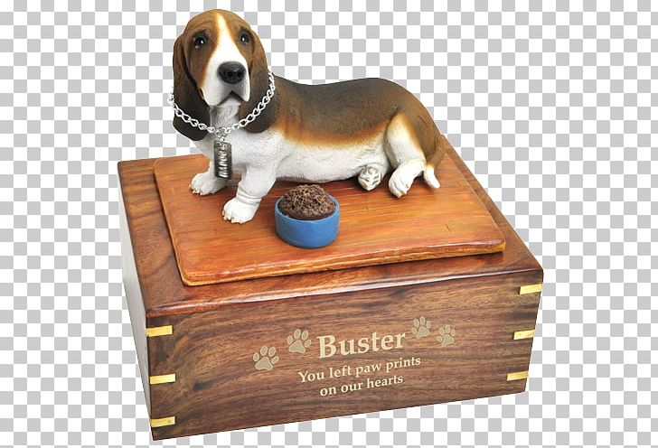 Beagle Basset Hound Basset Fauve De Bretagne Basset Artésien Normand Bassett Hounds PNG, Clipart, Basset Artesien Normand, Basset Hound, Beagle, Box, Breed Free PNG Download