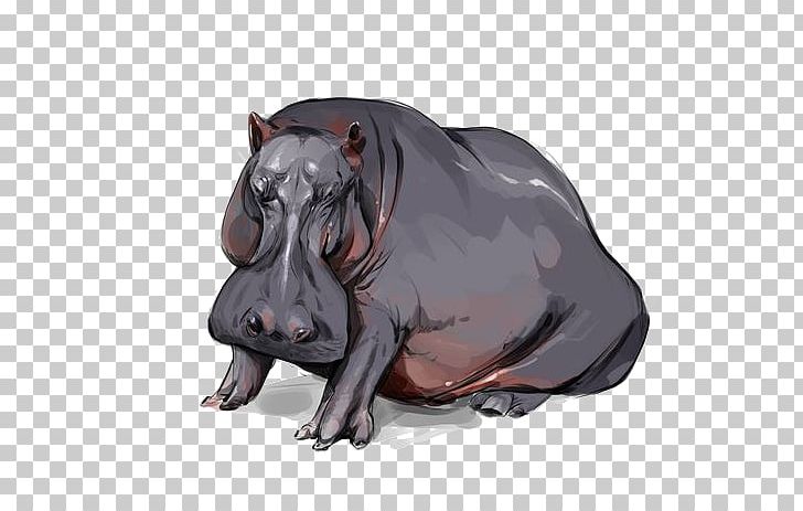 Hippopotamus Drawing PNG, Clipart, Animal, Animals, Animation, Art, Cartoon Free PNG Download