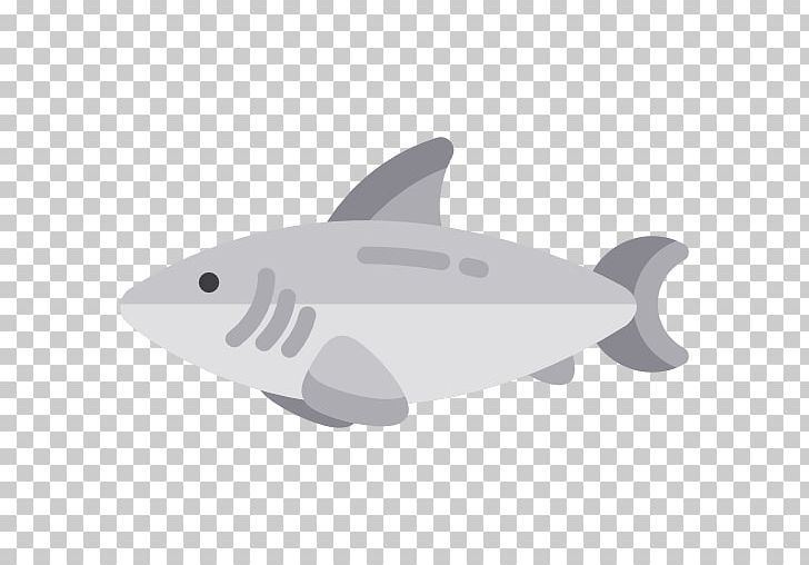 Shark Computer Icons PNG, Clipart, Animals, Cartilaginous Fish, Cartoon, Computer Icons, Computer Software Free PNG Download