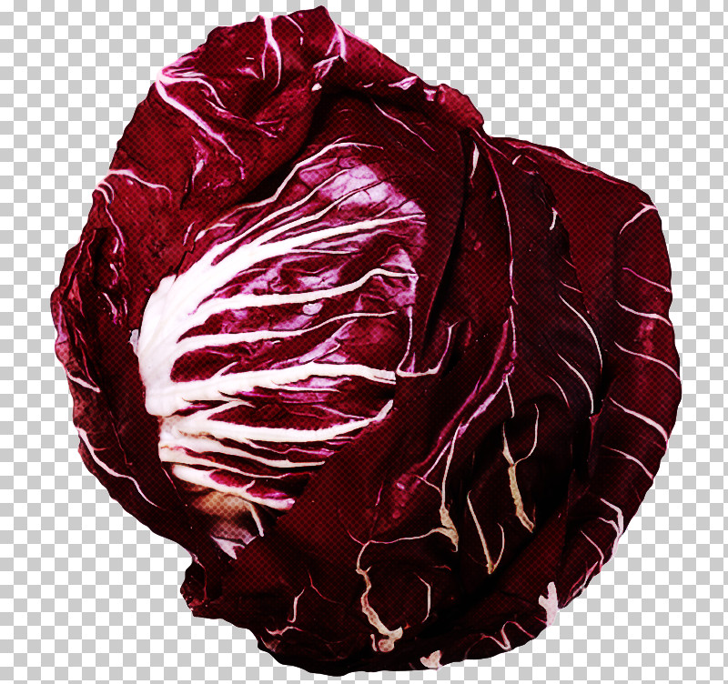 Red Cabbage Cabbage Red Radicchio Leaf Vegetable PNG, Clipart, Cabbage, Food, Leaf Vegetable, Maroon, Radicchio Free PNG Download