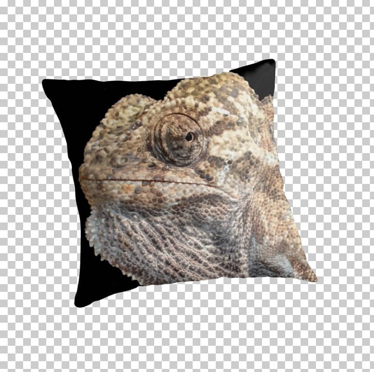 Chameleons Throw Pillows Cushion Cool Png Clipart Attitude Bag