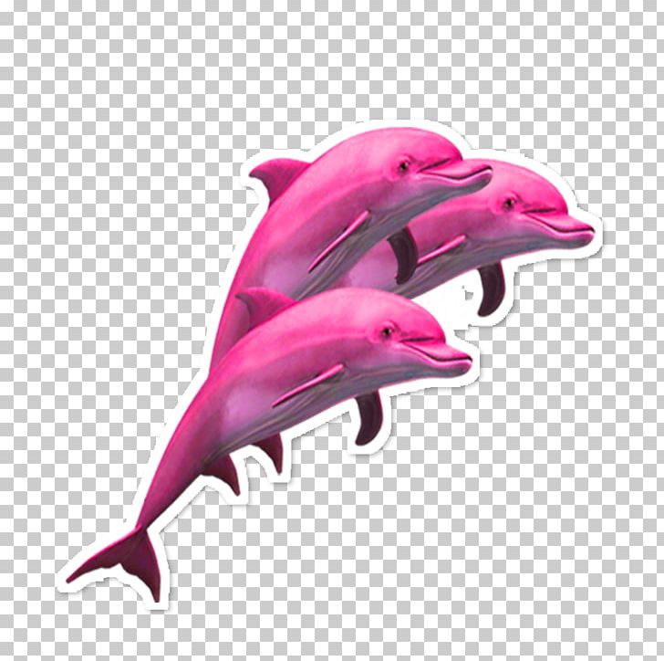 Dolphin Porpoise Sticker Adhesive PNG, Clipart, Adhesive, Animals, Art, Cetacea, Dolphin Free PNG Download