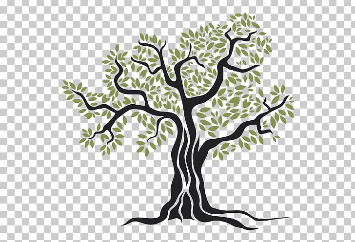 Olive Oil Tree PNG, Clipart, Area, Artwork, Black And White, Branch, Flora Free PNG Download