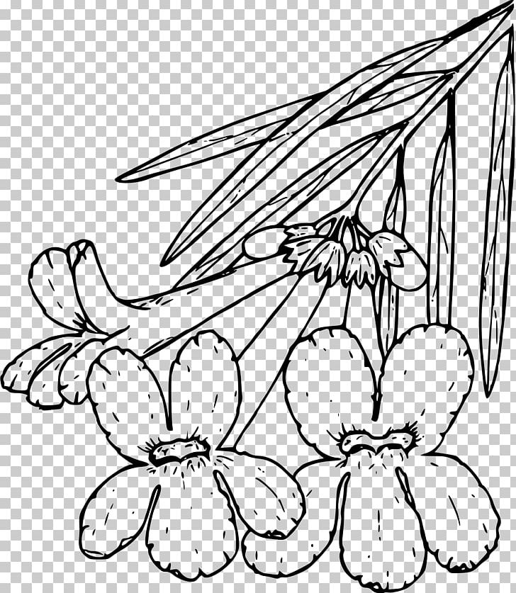 Plant Line Art Drawing PNG, Clipart, Black, Black And White, Botanical Illustration, Branch, Drawing Free PNG Download