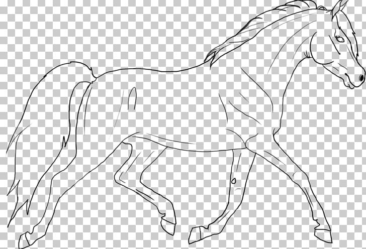 Arabian Horse Line Art Mane Foal Stallion PNG, Clipart, Animal Figure, Arabian Horse, Arabian Horse Association, Artwork, Black And White Free PNG Download