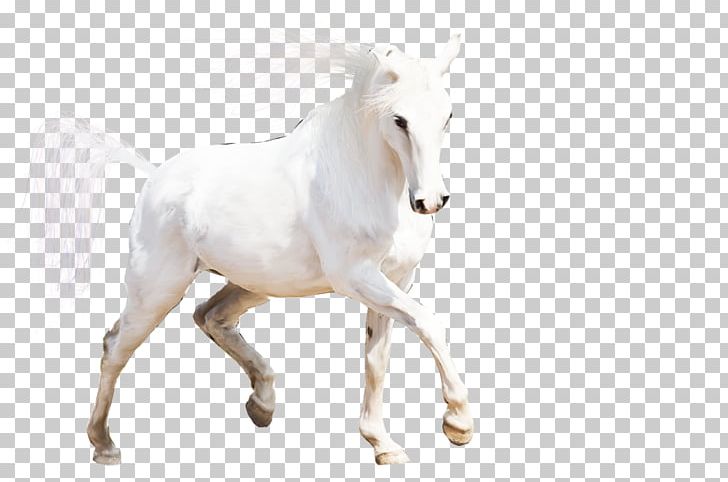 Arabian Horse Mustang Stallion Horses Mare PNG, Clipart, Animal, Animal Figure, Animals, Arabian Horse, Black Free PNG Download