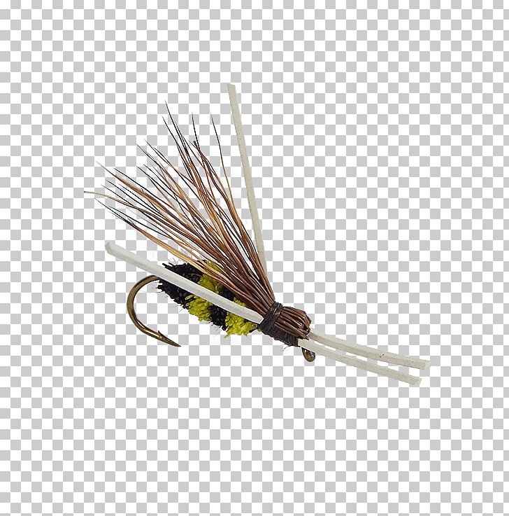 Artificial Fly Fly Fishing Vespula Beetle PNG, Clipart, Ant, Artificial Fly, Average, Beetle, Fly Free PNG Download