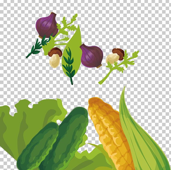 Plant Fruit Vegetable Food PNG, Clipart, Corn, Food, Fruit, Graphics, Green Free PNG Download