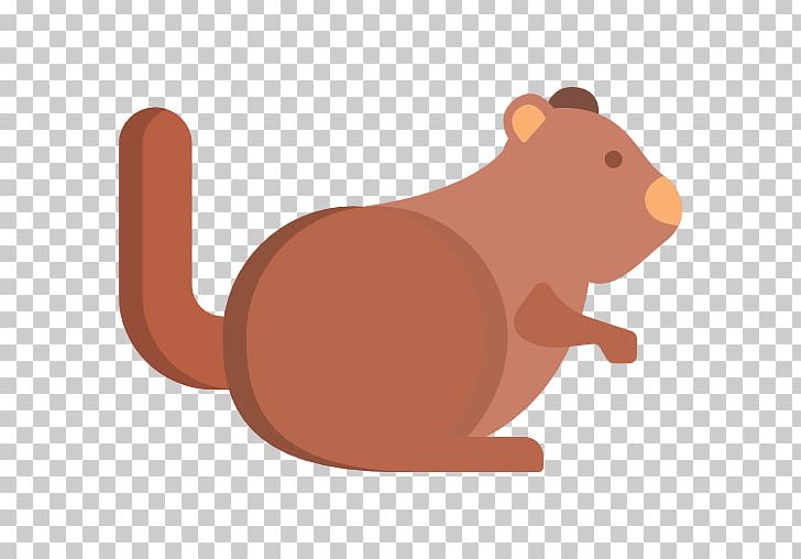 Rodent Mouse Rat Mammal Murids PNG, Clipart, Animal, Animals, Beaver, Carnivora, Carnivoran Free PNG Download