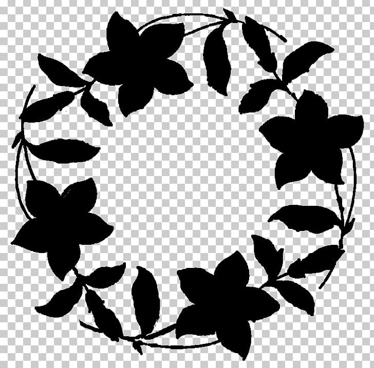 Window Frames Photography Flower PNG, Clipart, Black And White, Branch, Brush, Brush Frame, Circle Free PNG Download