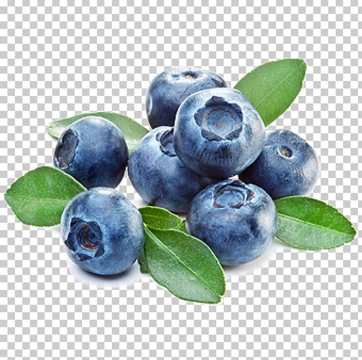 Bilberry Flavor Blueberry Food Custard PNG, Clipart, Bilberry, Blueberry, Blueberry Tea, Chokeberry, Concentrate Free PNG Download