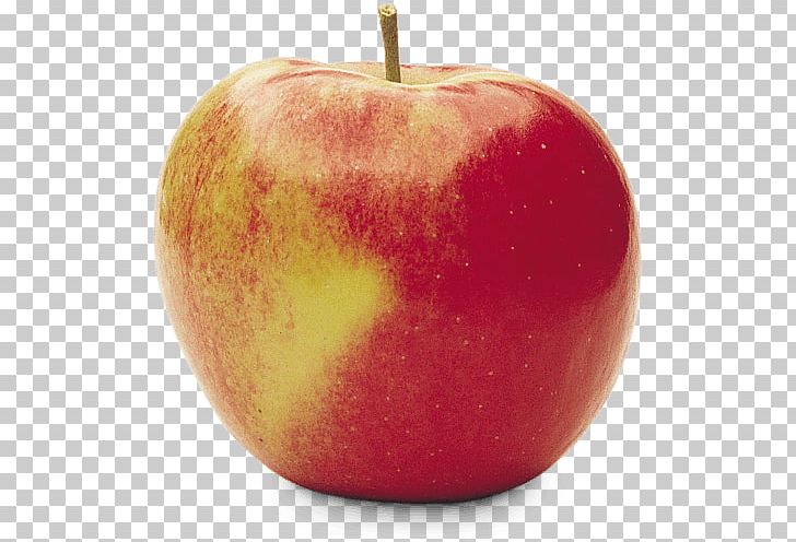 Organic Food Gala Ambrosia Apple Red Delicious PNG, Clipart, Ambrosia, Apple, Braeburn, Diet Food, Eating Free PNG Download