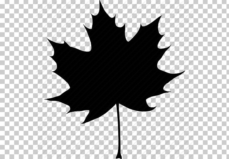 Canada Acer Nigrum Maple Leaf Computer Icons Autumn PNG, Clipart, Acer Nigrum, Autumn, Autumn Leaf Color, Black And White, Canada Free PNG Download