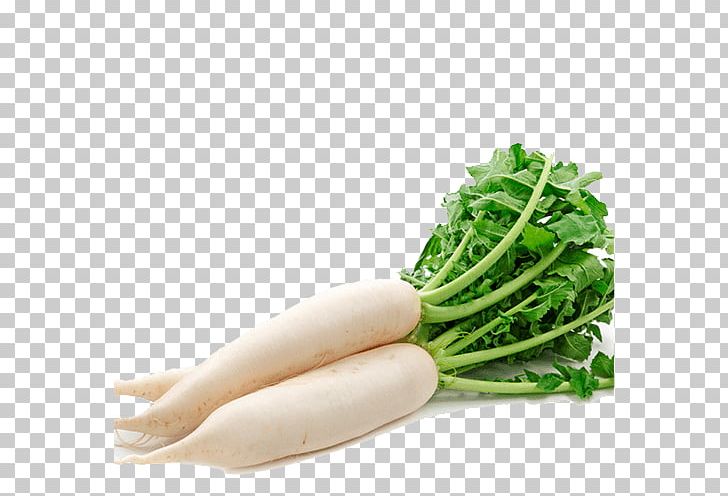 Daikon Radishes Root Vegetables PNG, Clipart, Carrot, Cruciferous Vegetables, Daikon, Eating, Food Free PNG Download