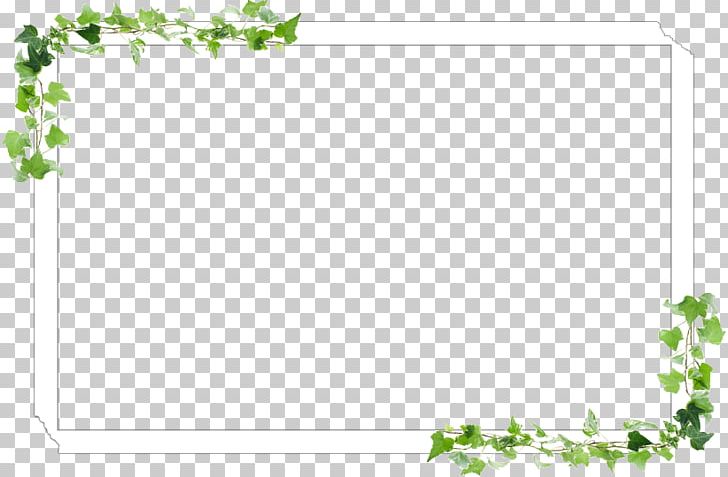 Frames Floral Design Leaf Pattern PNG, Clipart, Area, Art, Border, Branch, Flora Free PNG Download