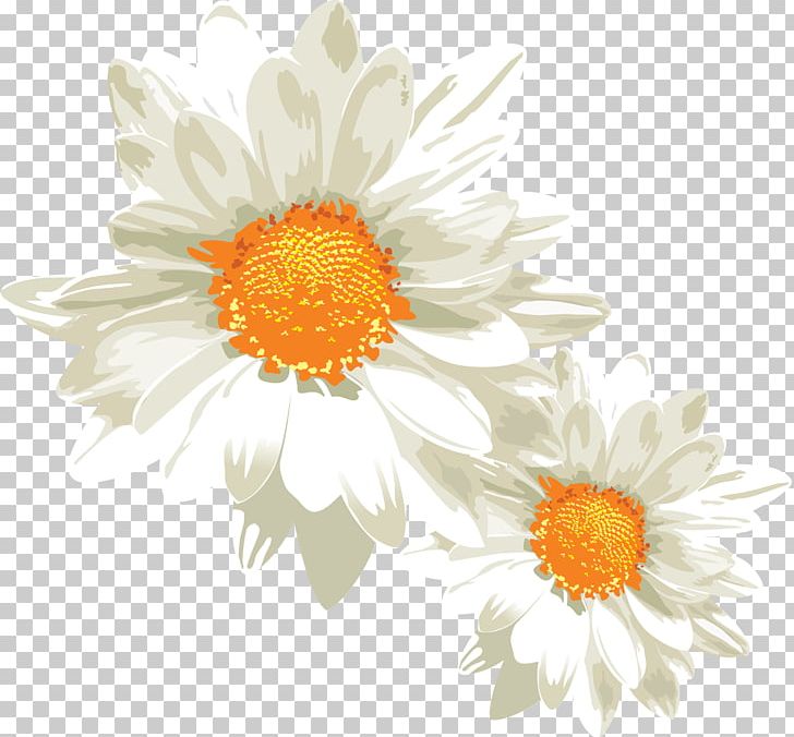 German Chamomile PNG, Clipart, Aster, Camomile, Chamaemelum Nobile, Chamomile, Chrysanths Free PNG Download