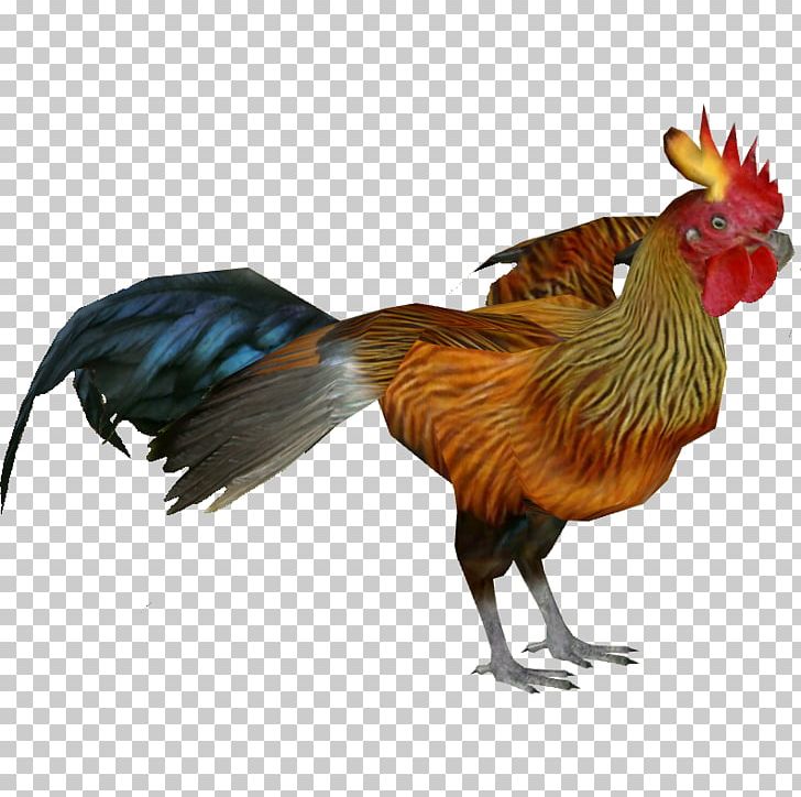 Rooster Sri Lankan Junglefowl Chicken PNG, Clipart, Animals, Beak, Bird, Chicken, Fauna Free PNG Download