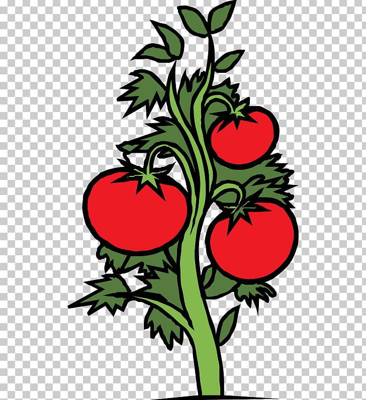 Tattoo Tomato Open Graphics PNG, Clipart, Artwork, Branch, Drawing, Flora, Floral Design Free PNG Download