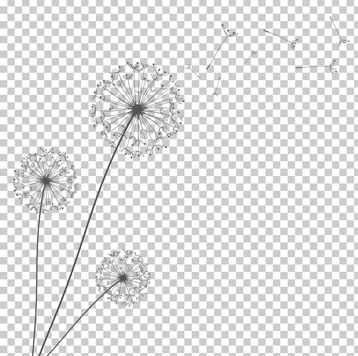 Euclidean Dandelion PNG, Clipart, Area, Black And White, Circle, Dandelion Flower, Dandelion Seeds Free PNG Download