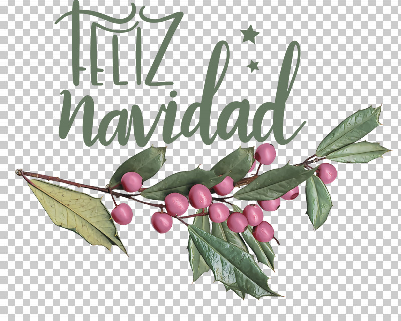 Feliz Navidad Merry Christmas PNG, Clipart, Aquifoliaceae, Feliz Navidad, Flower, Fruit, Herbal Medicine Free PNG Download