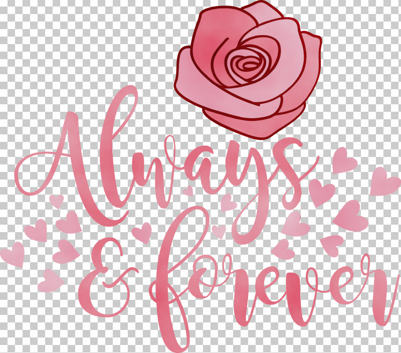 Garden Roses PNG, Clipart, Always And Forever, Calligraphy, Cut Flowers, Floral Design, Flower Free PNG Download