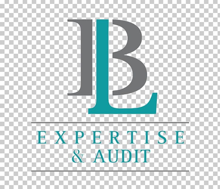 BL Expertise & Audit Chartered Accountant Adaptive Expertise PNG, Clipart, Accounting, Adaptive Expertise, Afacere, Angle, Area Free PNG Download
