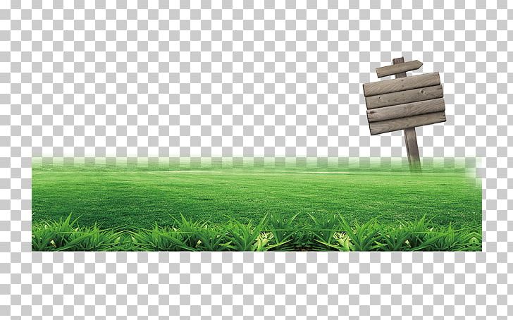 Grassland Lawn PNG, Clipart, Board, Designer, Dollar Sign, Download, Energy Free PNG Download