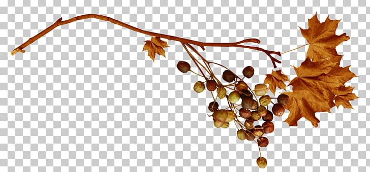 Leaf Branch PNG, Clipart, Autumn, Branch, Computer Icons, Desktop Wallpaper, Drawing Free PNG Download