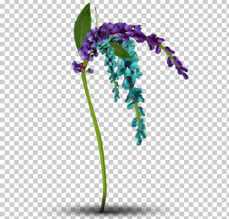 Lavender Violet Plant Stem PNG, Clipart, Flora, Flower, Flowering Plant, Flowers, Lavender Free PNG Download