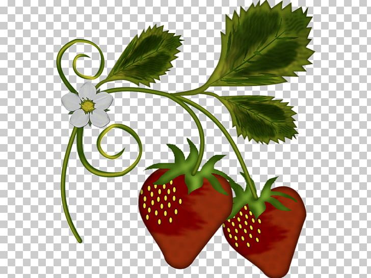 Strawberry Tree Amorodo PNG, Clipart, Amorodo, Berry, Clip Art, Flower, Flowerpot Free PNG Download