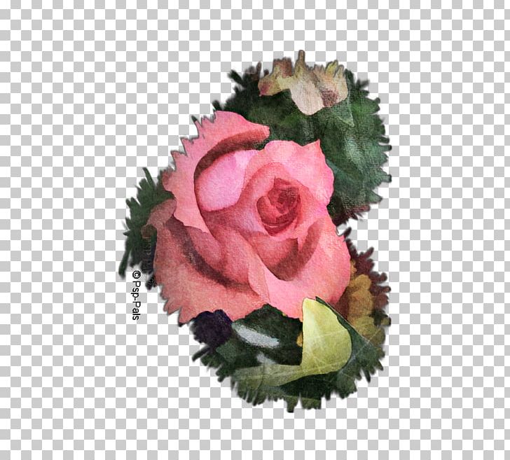 Garden Roses Cabbage Rose Floral Design Cut Flowers PNG, Clipart, Acorn And Flowers, Cut Flowers, Floral Design, Floristry, Flower Free PNG Download