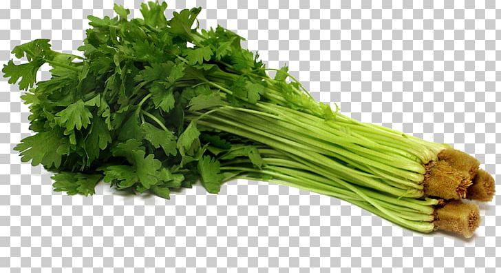 Parsley Celery Vegetable Seed Hydroponics PNG, Clipart, Capsicum, Celery, Chinese, Chive, Chives Free PNG Download