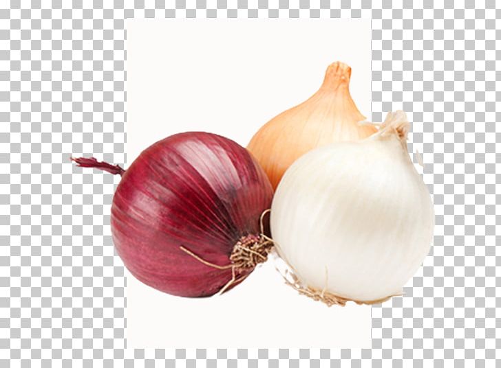 Yellow Onion Shallot French Onion Soup Vegetable Red Onion PNG, Clipart, Food, Food Drinks, French Onion Soup, Fruit, Garlic Free PNG Download