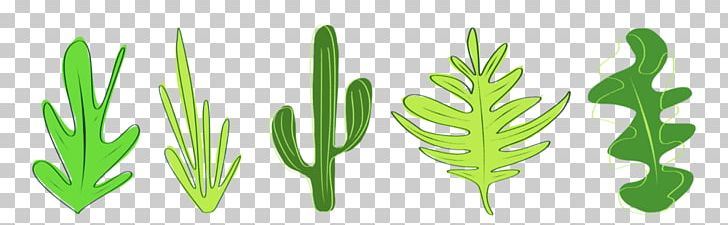 Animated Film Plants Leaf Morphing Vascular Plant PNG, Clipart, Animated Film, Commodity, Family, Grass, Grasses Free PNG Download