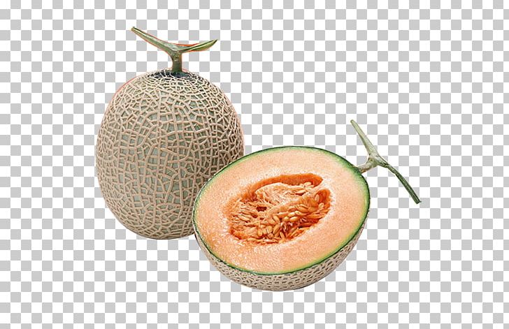 Cantaloupe Honeydew Canary Melon Hami Melon PNG, Clipart, Agriculture, Buttoned, Buttoned Fruit, Canary Melon, Display Resolution Free PNG Download