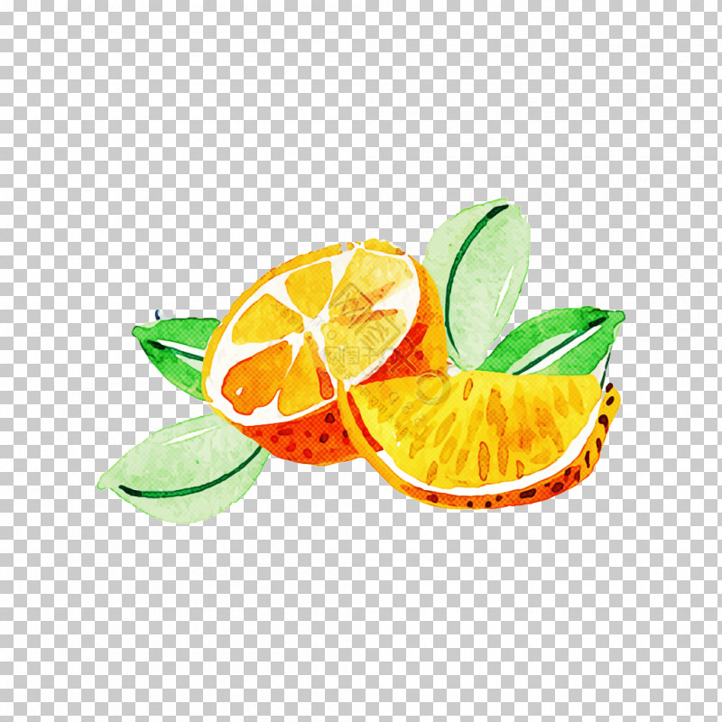 Orange PNG, Clipart, Citrus, Fruit, Key Lime, Leaf, Lemon Free PNG Download