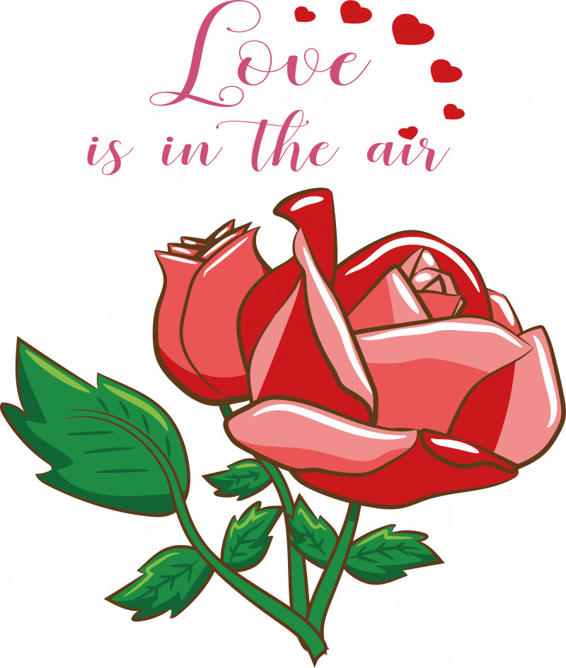 Floral Design PNG, Clipart, Cartoon, Floral Design, Garden Roses, Rose, Royaltyfree Free PNG Download
