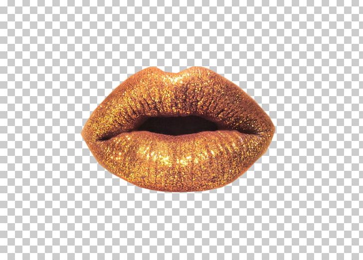 Lip PhotoScape Icon PNG, Clipart, Data, Euclidean Vector, Icon, Lip, Lips Free PNG Download