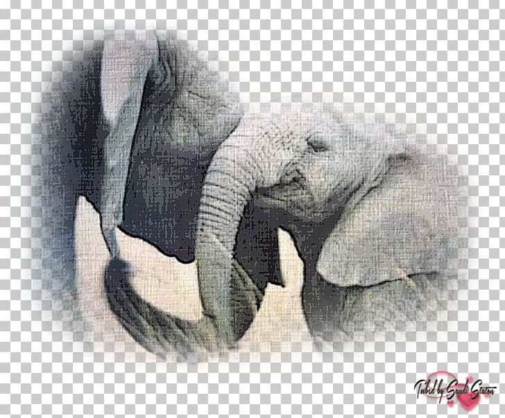 African Elephant Asian Elephant Elephants In The Wild Rhinoceros PNG, Clipart, Animal, Animals, Artwork, Asian Elephant, Black And White Free PNG Download