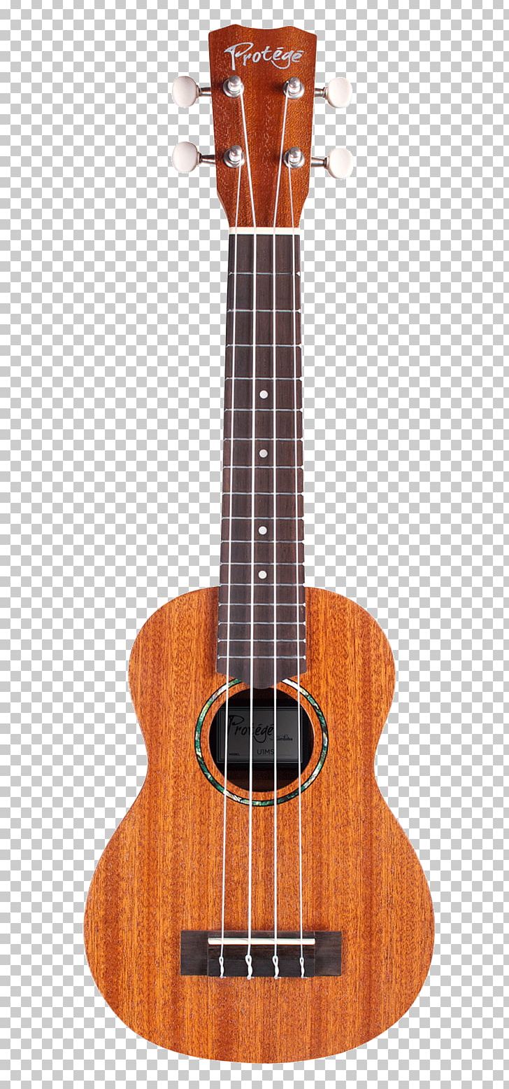 Cordoba 15cm Concert Ukulele Classical Guitar Córdoba Protégé C1M Musical Instruments PNG, Clipart, Acoustic Electric Guitar, Bridge, Classical Guitar, Cuatro, Guitar Accessory Free PNG Download