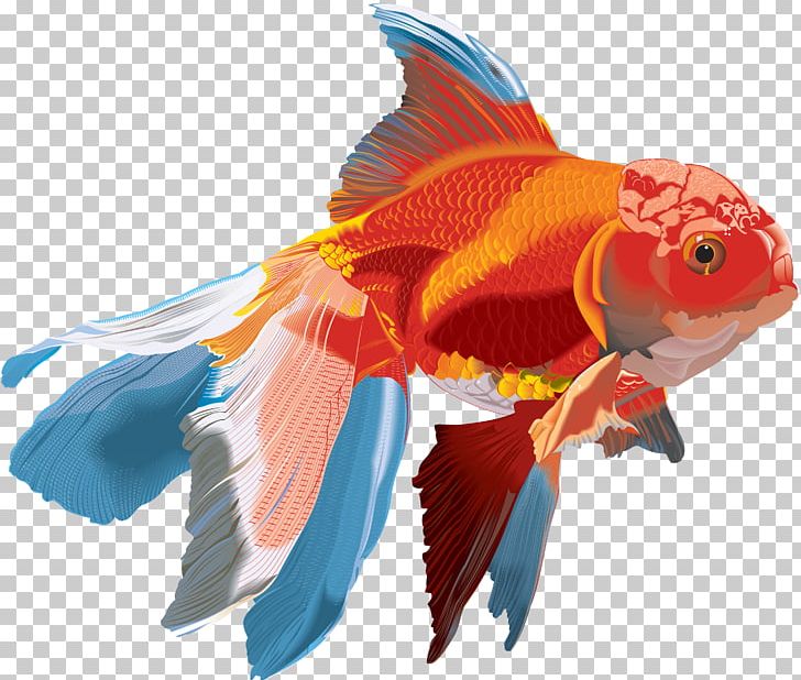 Goldfish Watercolor Painting PNG, Clipart, Animals, Bony Fish, Creatures, Download, Fantasy Free PNG Download