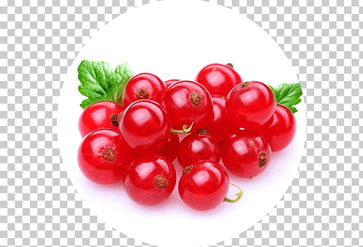 Redcurrant Blackcurrant Fruit Gelatin Dessert Berry PNG, Clipart, Acerola, Acerola Family, Apple Pie, Artikel, Ber Free PNG Download