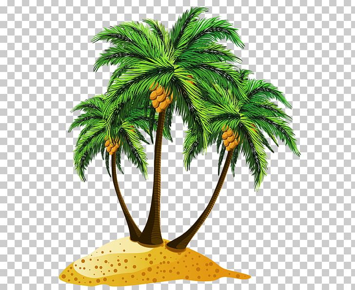 Beach PNG, Clipart, Arecales, Beach, Borassus Flabellifer, Coconut, Date Palm Free PNG Download