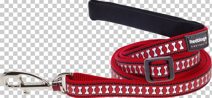 Dog Collar Dingo Leash Cat PNG, Clipart, Animals, Cat, Collar, Dingo, Dog Free PNG Download