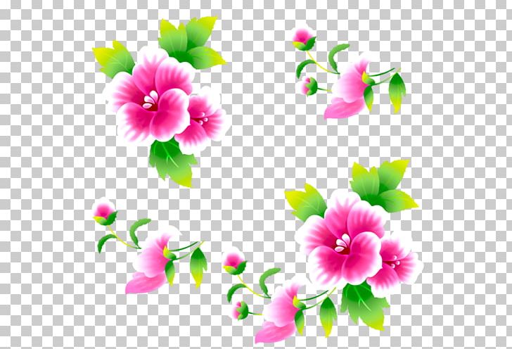 Rosemallows Video Islam Dailymotion YouTube PNG, Clipart, Annual Plant, Branch, Dailymotion, Flatcast, Flora Free PNG Download