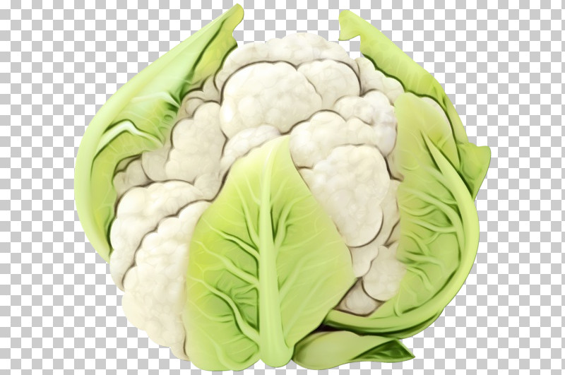 Cauliflower PNG, Clipart, Cabbage, Cauliflower, Leaf Vegetable, Paint, Vegetable Free PNG Download