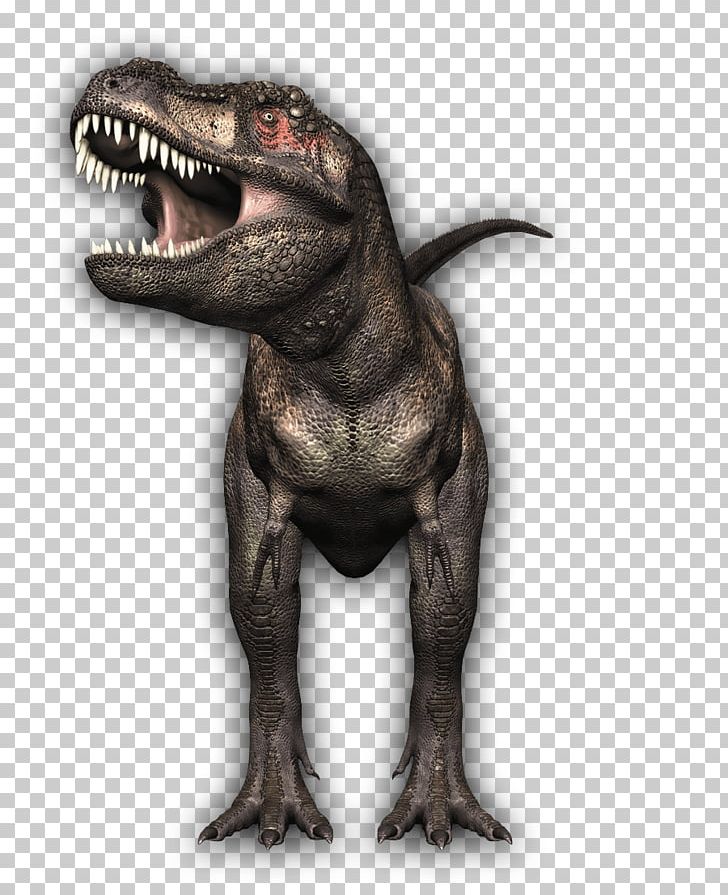 Carnivore Dinosaur Stock Photography Drawing PNG, Clipart, Can Stock Photo, Carnivore, Dinosaur, Drawing, Extinction Free PNG Download