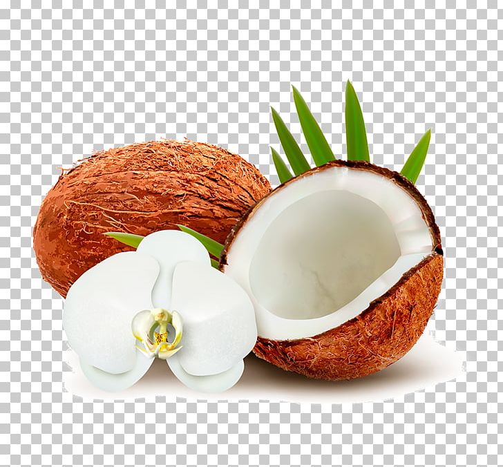 Coconut Water Coconut Milk PNG, Clipart, Clip Art, Coconut, Coconut Leaf, Coconut Leaves, Coconut Milk Free PNG Download