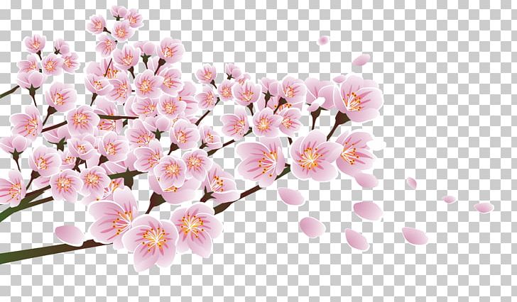 Flower Floral Design Blossom PNG, Clipart, Branch, Branches Vector, Christmas Decoration, Computer Wallpaper, Decorative Free PNG Download
