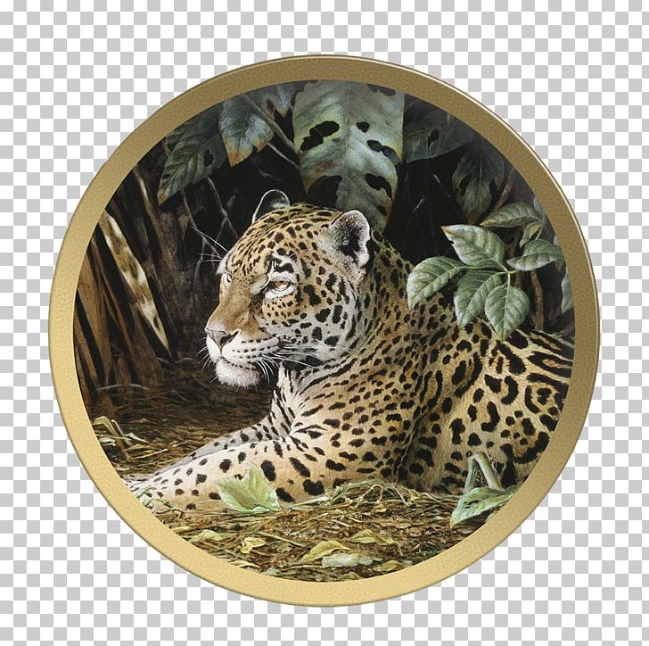 Jaguar Blingee Leopard GIF PNG, Clipart, Afternoon, Animals, Big Cats, Blingee, Carnivoran Free PNG Download